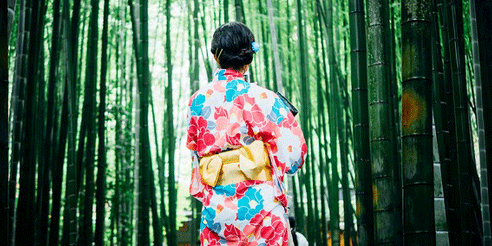 竹林に立つ着物の女性