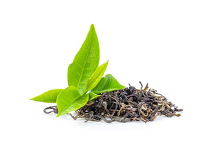 ニコノン　茶葉