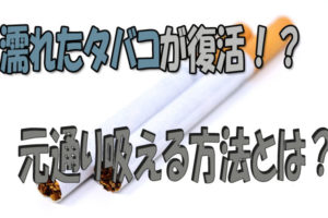 葉巻の害はタバコよりも少ない 副流煙の有害性や依存 中毒性を解説 Supari スパリ