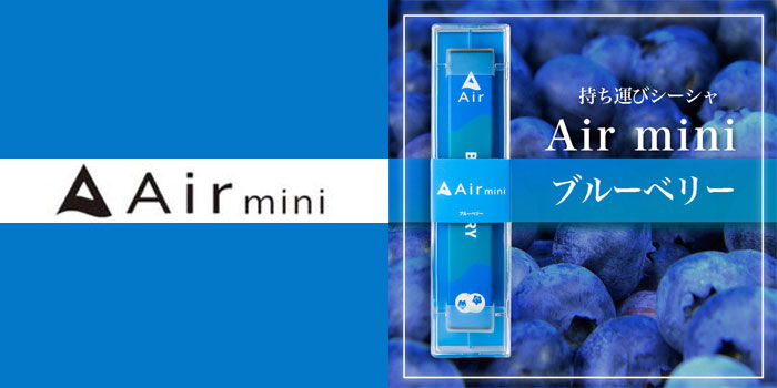 Air mini ブルーベリー