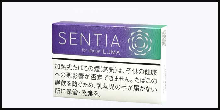 センティア・フレッシュパープル