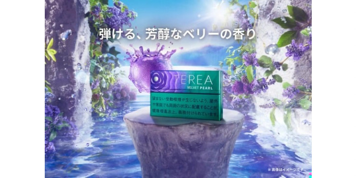 テリアベルベットパールの基本情報を解説